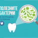 ПОЛЕЗНИТЕ БАКТЕРИИ В УСТНАТА КУХИНА